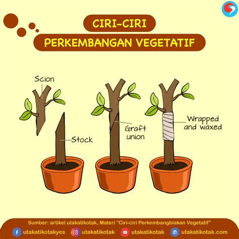 Perkembangbiakan Hewan Secara Vegetatif Dan Generatif - vrogue.co