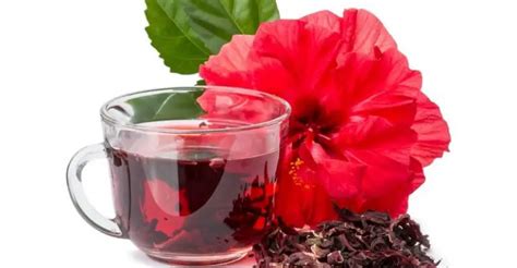 beneficios para la salud del té de hibisco remediosmd