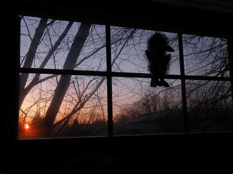 Sunrise Window Photograph By Caitlin Binkhorst