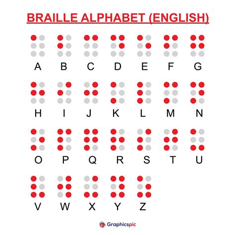 English Version Of Braille Alphabet Numbers And Punctuation Vector D5c