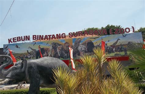 Kebun binatang ini terletak di jalan kebun binatang nomor 6 lebak siliwangi, coblong, bandung, jawa barat. √ 10 Tempat Wisata di Surabaya Yang Paling Populer | Wisata Negeri
