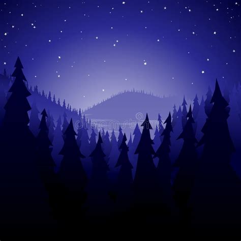 Bosque Del Pino En La Noche Ilustración Del Vector Ilustración De