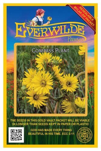 20 Compass Plant Wildflower Seeds Everwilde Farms Mylar Seed Packet