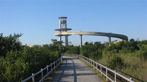 Visitors On The Shark Valley Observation Tower Visit Florida Tours