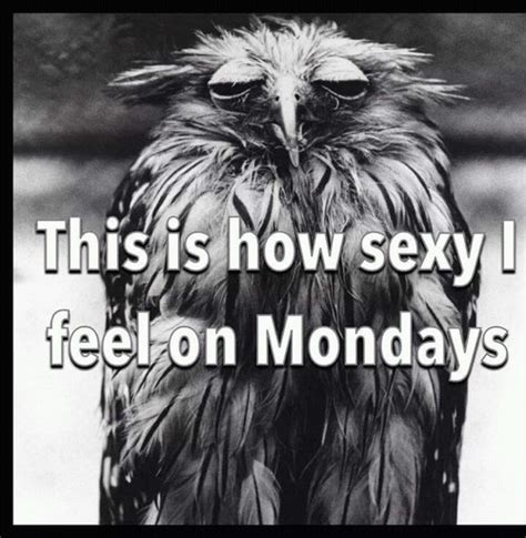 How Sexy I Feel On Mondays Pictures Photos And Images For Facebook Tumblr Pinterest And Twitter
