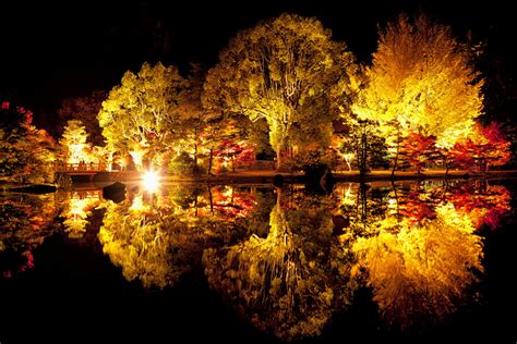 Online Jigsaw Puzzle Autumn At Night