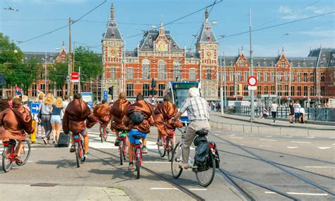 Things That Will Get You A Fine When Cycling In The Netherlands