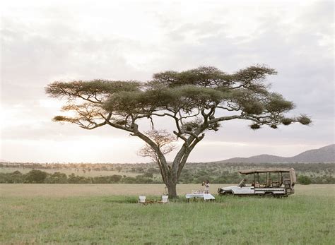 Luxury Tanzania Safaris Private Tanzania Safari Tours Extraordinary