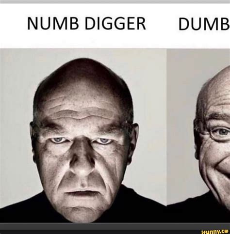 Numb Digger Dumb Ifunny