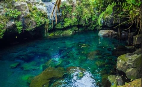 Maybe you would like to learn more about one of these? Purwokerto Kabupaten Banyumas-Jawa Tengah 7 Wisata dan ...