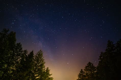 Green Leafed Trees Under Starry Night Sky Photo Free Night Image On