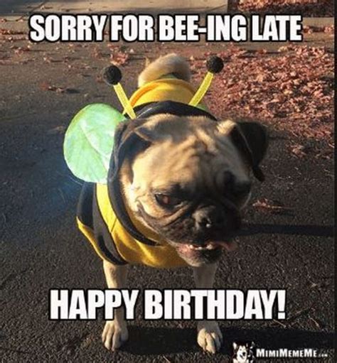 85 Happy Belated Birthday Memes For When You Just Forgot
