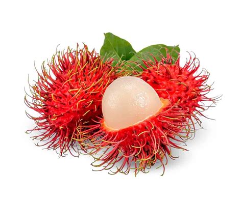 Fotos Da Fruta Rambutan