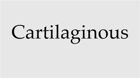 How To Pronounce Cartilaginous Youtube