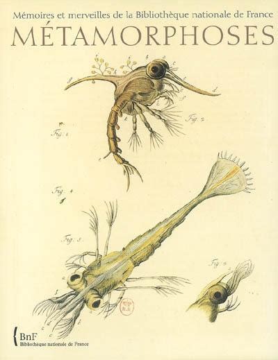 Métamorphoses Le Monde Fascinant Des Insectes Editions De La