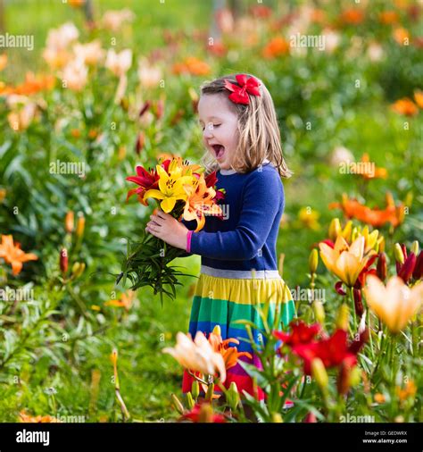 Cute Little Girl Picking Lily Flowers In Blooming Summer Garden Stock