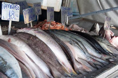 Ocean Fish At Market Stock Image Image Of Healthy Fishing 54645683
