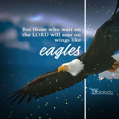 But Those Who Wait On The Lord Will Soar On Wings Like Eagles