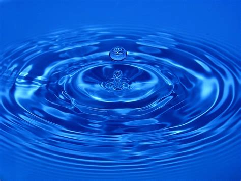 Water Drop Free Photo Download Freeimages