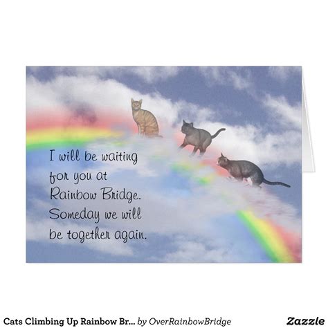 Cats Climbing Up Rainbow Bridge Card In 2020 Rainbow