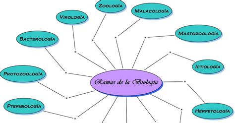 36 Mapa Conceptual De Las Ramas De La Biologia Pictures Nietma Riset