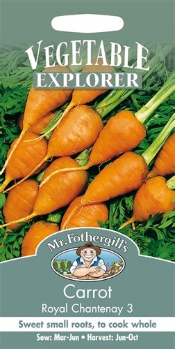 Carrot Royal Chantenay 3 Seed — Gardening For All