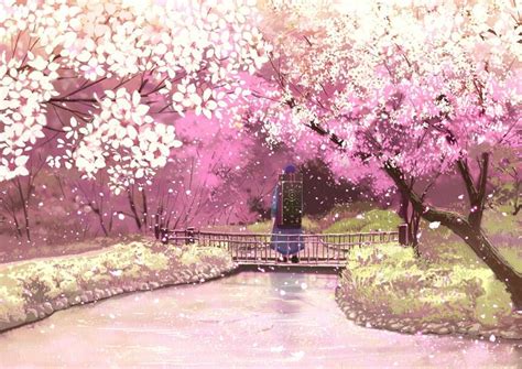 Anime Cherry Blossom Cherry Blossom Background Cherry Blossom