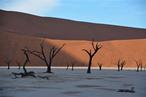 Namibia Dead Vlei Im Sossusvlei Abenteuerurlaub April 2014