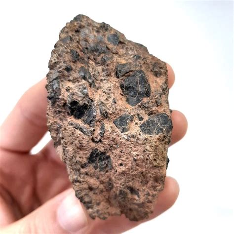 Nuovo Diogenite Meteorite Nwa 14056 194 G Catawiki