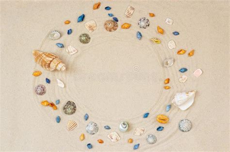 Seashells Frame On Beach Sand Background Natural Seashore Textured