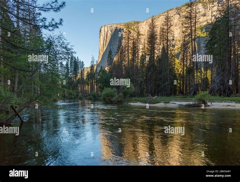 View Of El Capitan And Merced River Flowing Through Valley Yosemite