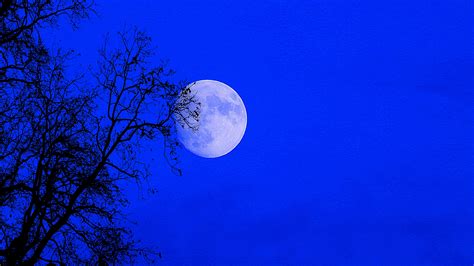Images Gratuites La Nature Ciel Nuit Atmosphère Bleu Pleine Lune