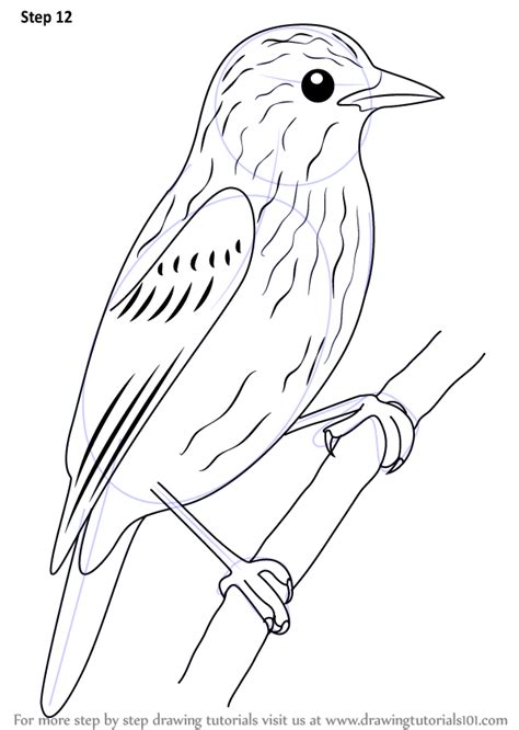 Über 7 millionen englischsprachige bücher. Learn How to Draw Xenops (Birds) Step by Step : Drawing ...