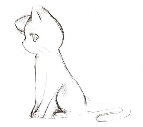 Anime Cat Sketch By Nyra992 Cat Sketch Cute Anime Cat Cat Drawing