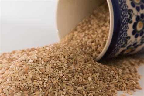 WholeGrain 31/LifeStyle Jump Start to Health and Wellness ...