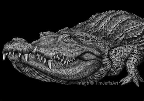 My Crocodile Ink Drawing Is All Done Heres A Finished Pic You Can