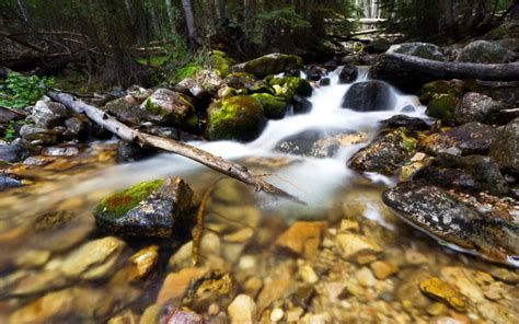 River Stream Rocks Stones Moss Forest Hd Wallpaper Nature And