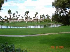 Desert Rental Dream Weavers Palm Desert S Craigslist Your Magic Carpet Ride