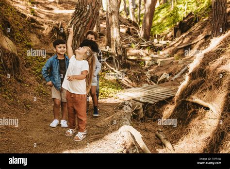 Group of kids standing together in forest and looking up at something