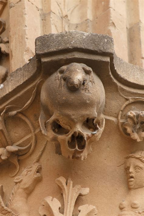 Guardar tour de día completo por descubre la historia local de salamanca desde uno de sus puntos más populares: "La rana" | Universidad de Salamanca "Tipicos tópicos de ...