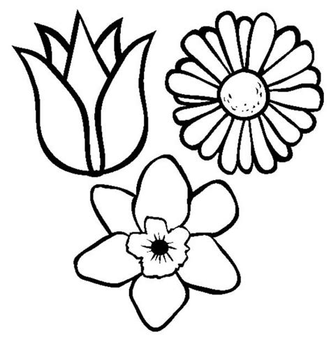 Spring flower coloring pages to download and print for free. Spring Flower Coloring Page for Kids | Color Luna