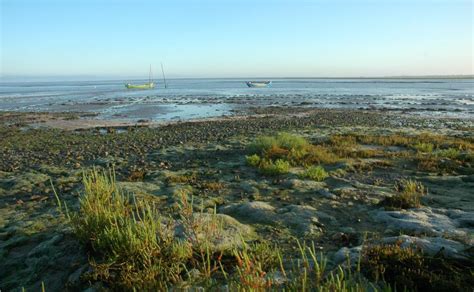 Com informação divulgada concelho a concelho, a situação no distrito de setúbal é a seguinte, por município: O Guia de viagem para Setúbal 2021 - Turismo, Lazer e Compras - oGuia | Portugal