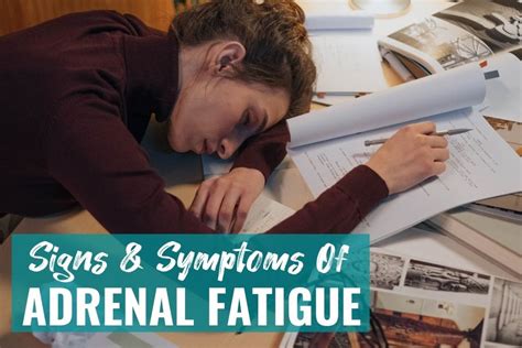 Symptoms Of Adrenal Fatigue Fix My Adrenal Fatigue