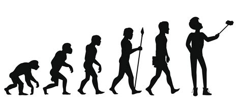Human Evolution From Ape To Man We Know Data