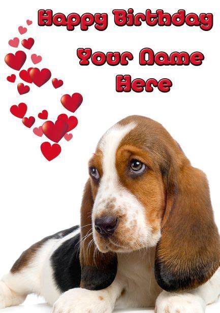 Basset Hound Thank You Card By Starprint For Sale Ebay