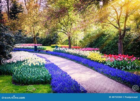 Spring Landscape With Colorful Flowers Stock Photo Image 48753384
