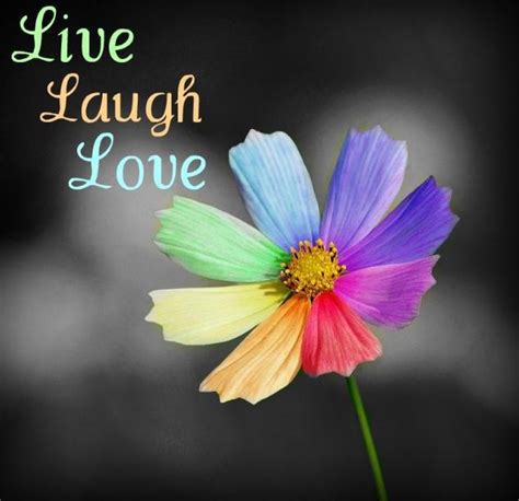 94 Best Live Laugh Love Images On Pinterest Live Laugh