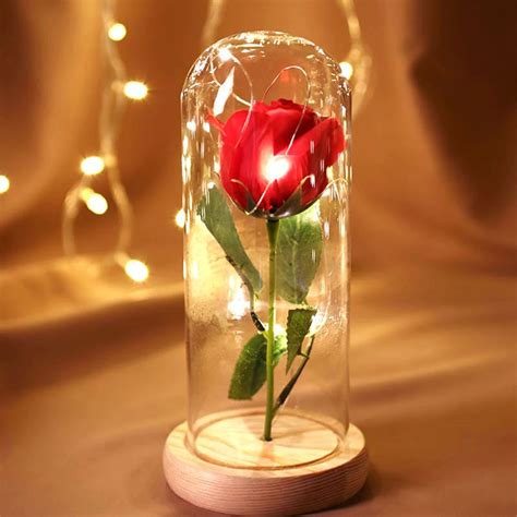 Preserved Fresh Flower Rose Glass Cover Romantic Glass Immortal Flower