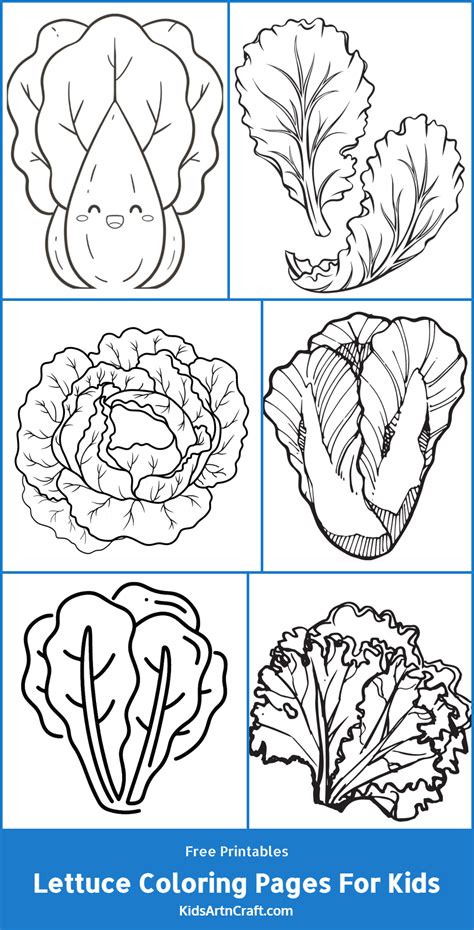 Romaine Lettuce Coloring Page