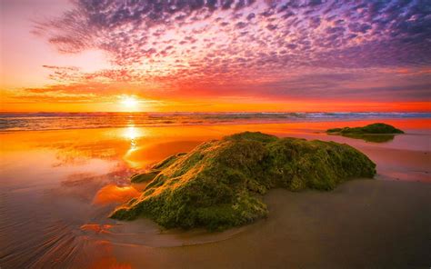 Beach Sunset Hd Wallpaper Background Image 1920x1200 Id687817
